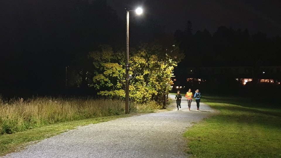 Tre personer joggar längs en gångväg i ljuset av en gatlykta. Längs med gångvägen finns grönt gräs och buskar.
