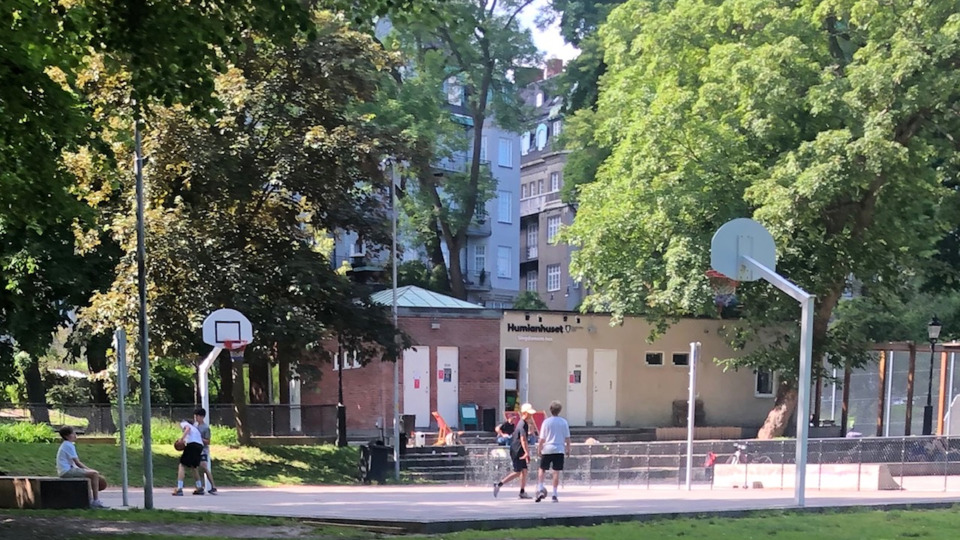 Barn spelar basket i en lummig park.
