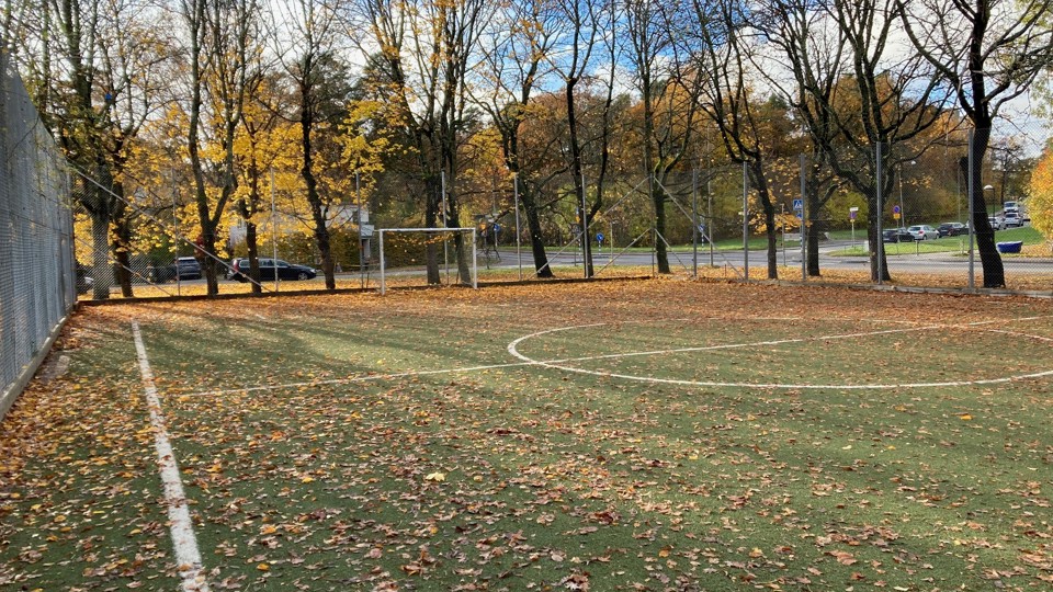 En inhägnad bollplan täckt av höstlöv, med målbur och höstträd i bakgrunden.