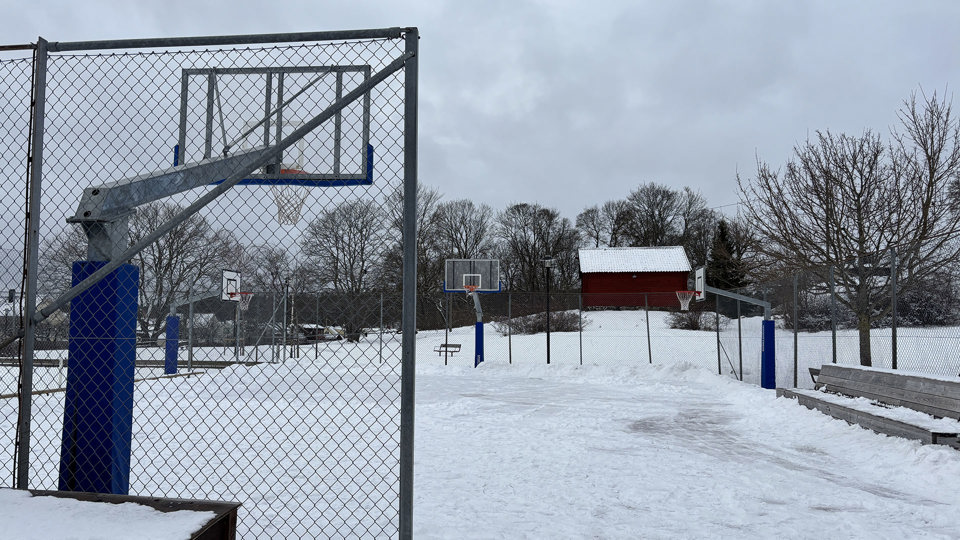 Snöig skridskobana med basketkorg i förgrund, foto.
