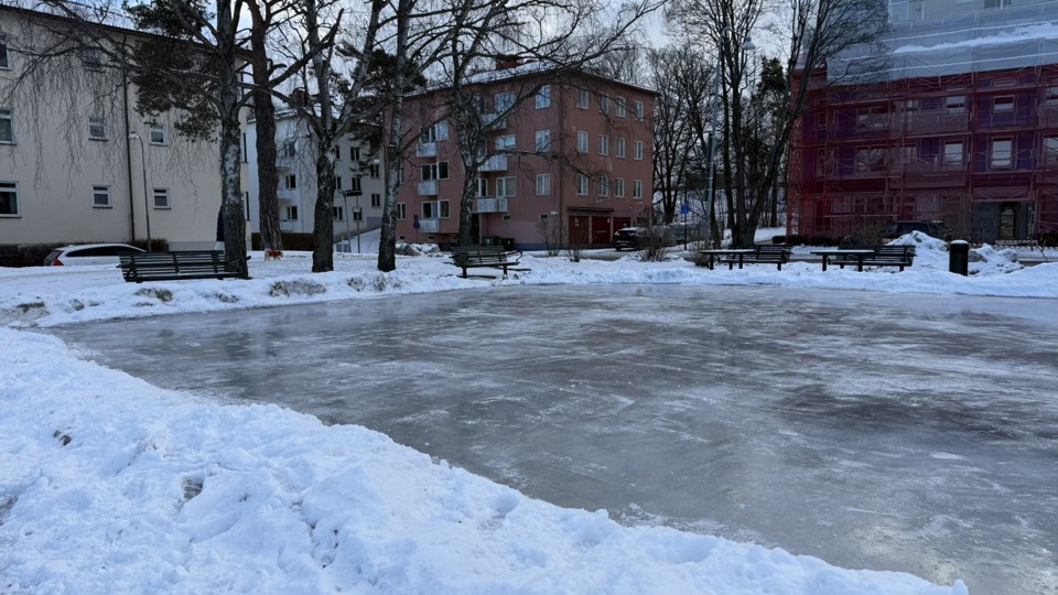 En skridskois omgiven av snö och träd som står glest. Vid kanten på av isen finns träbänkar. I bakgrunden några flerbostadshus. Foto.