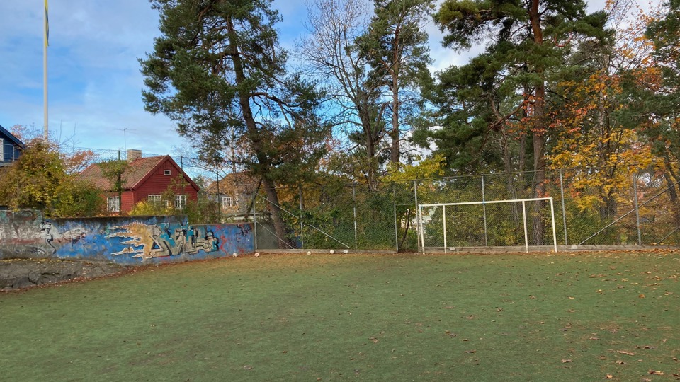 Bollplan med mindre fotbollsmål, träd i höstfärger och hus i bakgrunden under blå himmel.