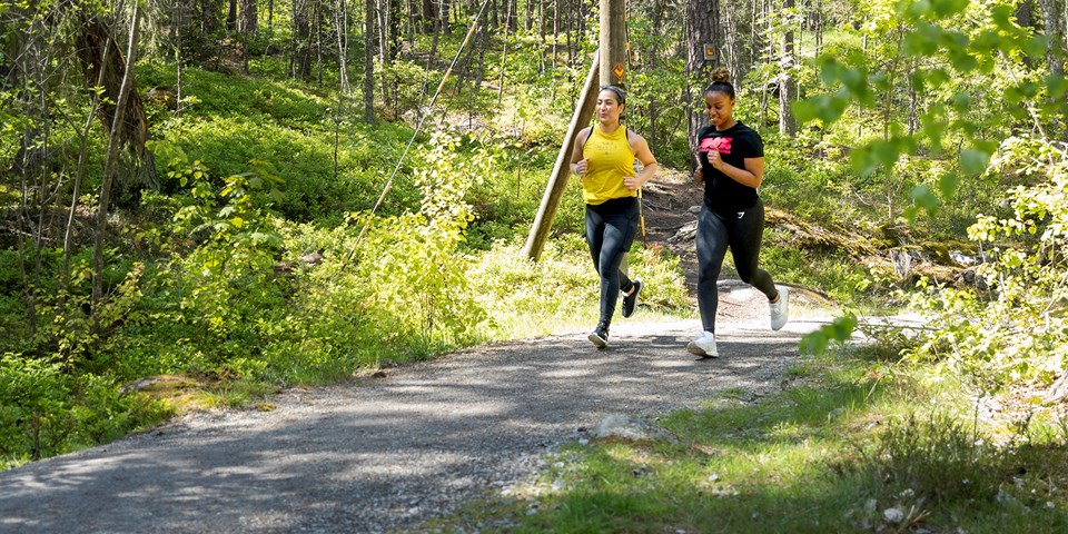Två kvinnor och joggar tillsammans i ett motionspår i skogen.