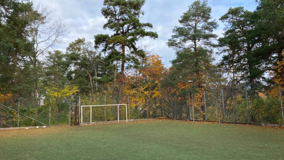 Bollplan med konstgräs och ett mindre fotbollsmål, omgiven av stängsel och träd i höstfärger.