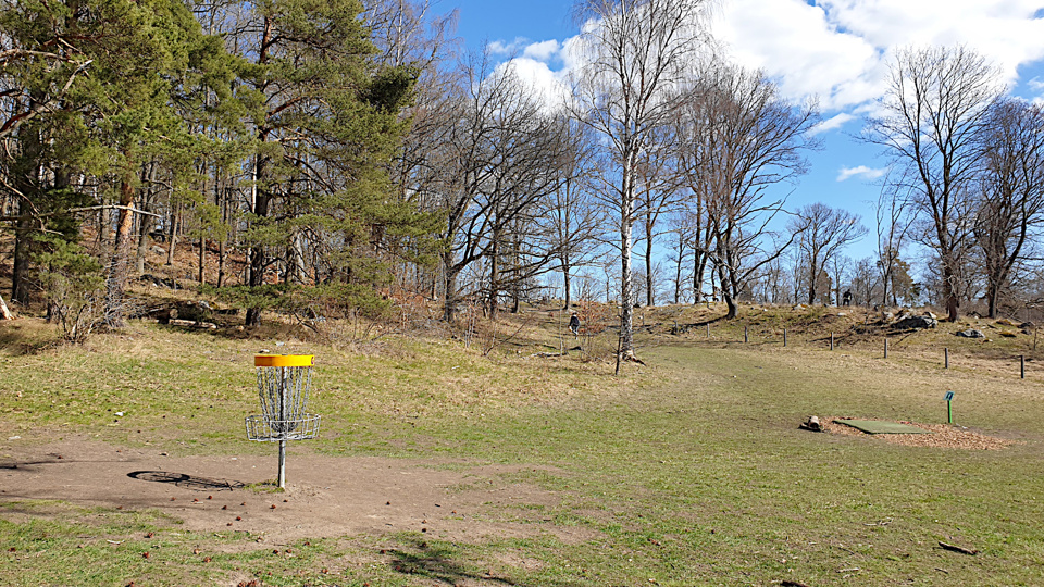 En öppen gräsyta med en discgolfkorg.