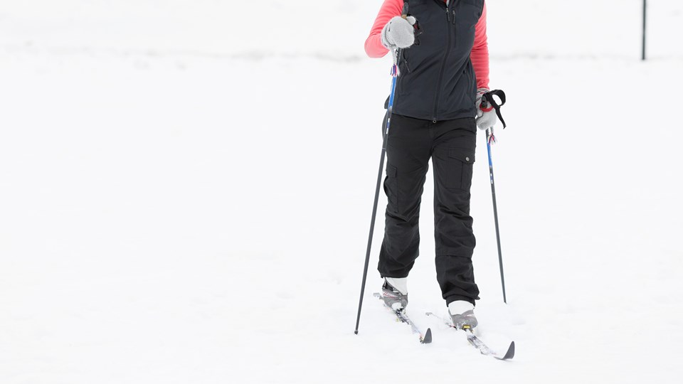 En person åker längdskidor i ett snörikt landskap.