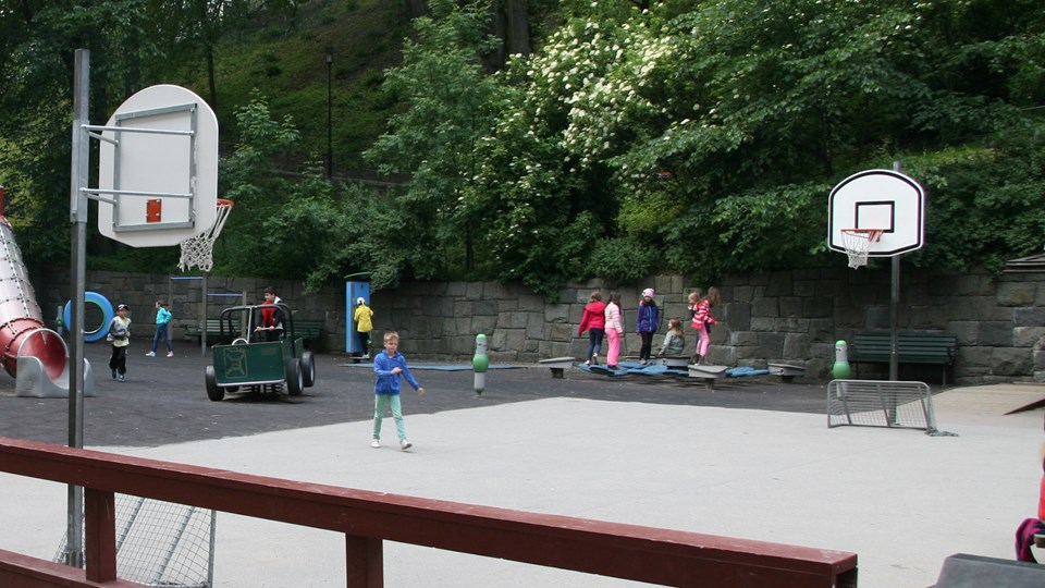 Liten basketplan på en lekplats i en lummig park.
