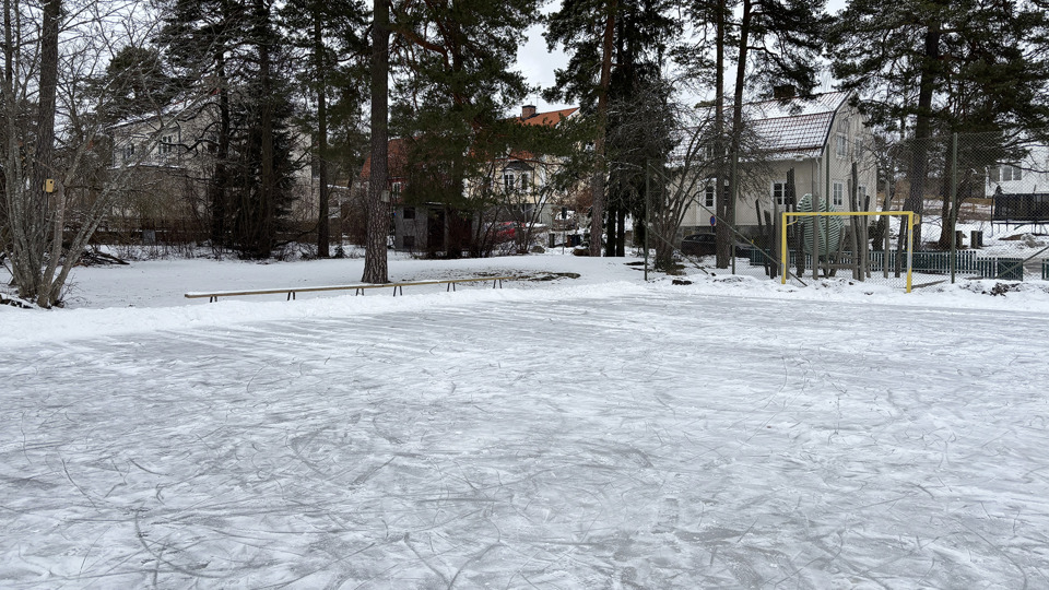 Skridskois med sittbänkar längs långsidan och ett mål vid kortsidan.