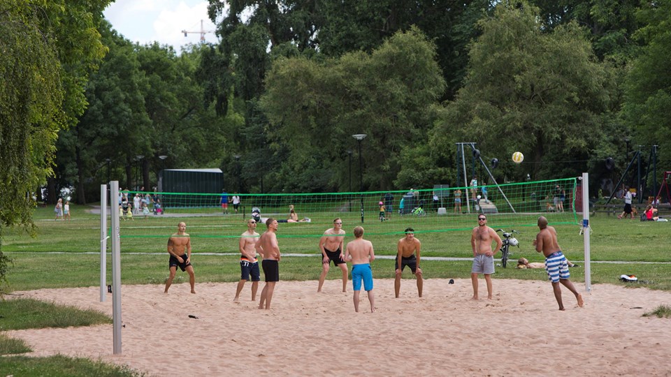En gäng unga killar spelar volleyboll i en grönskande park.