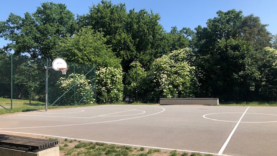 Basketplan i lummig park.
