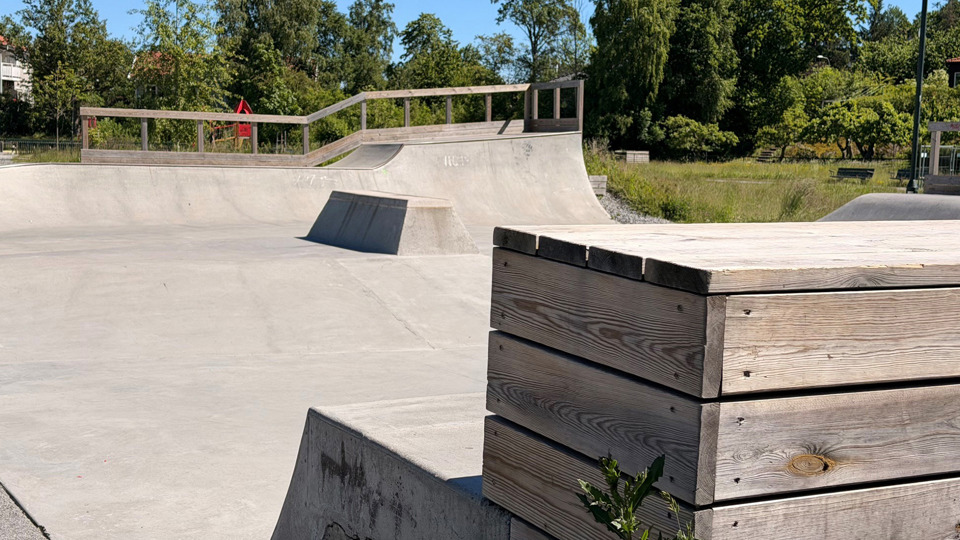 Skejtramp i lummig miljö.