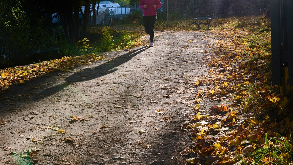 En person som joggar på en gångväg kantad med färgglada höstlöv.
