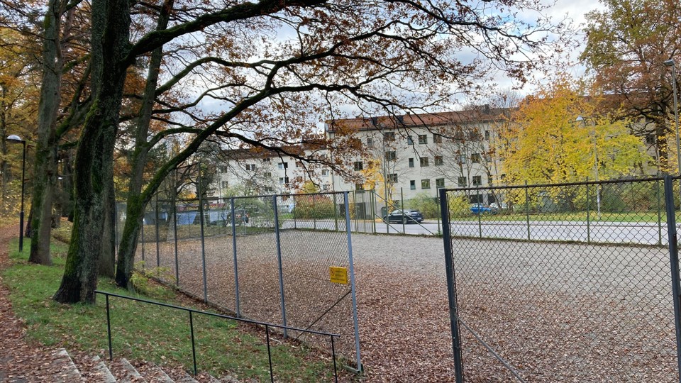 Trappa leder ner till en inhägnad grusplan omgiven av träd med höstlöv.