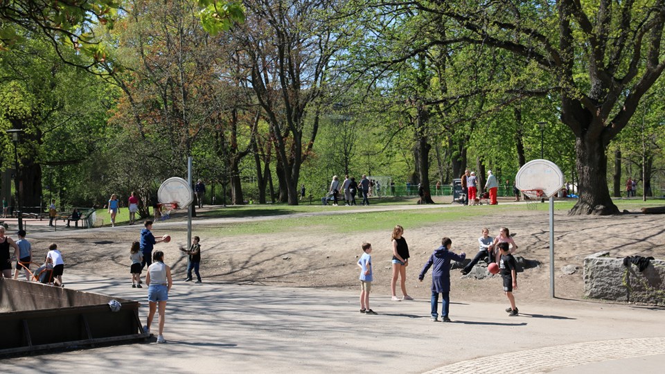 Barn som spelar basket i park.