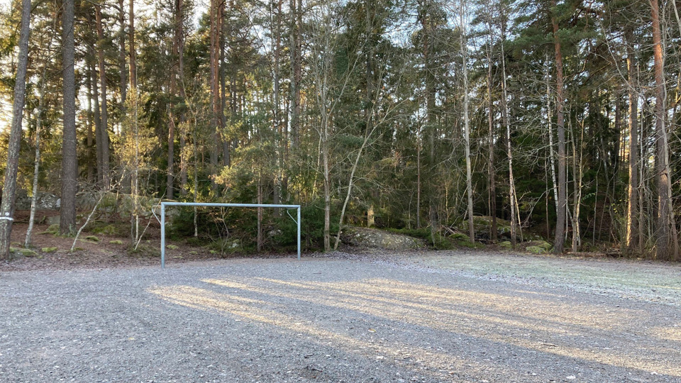 Bollplan med fotbollsmål intill en skog.